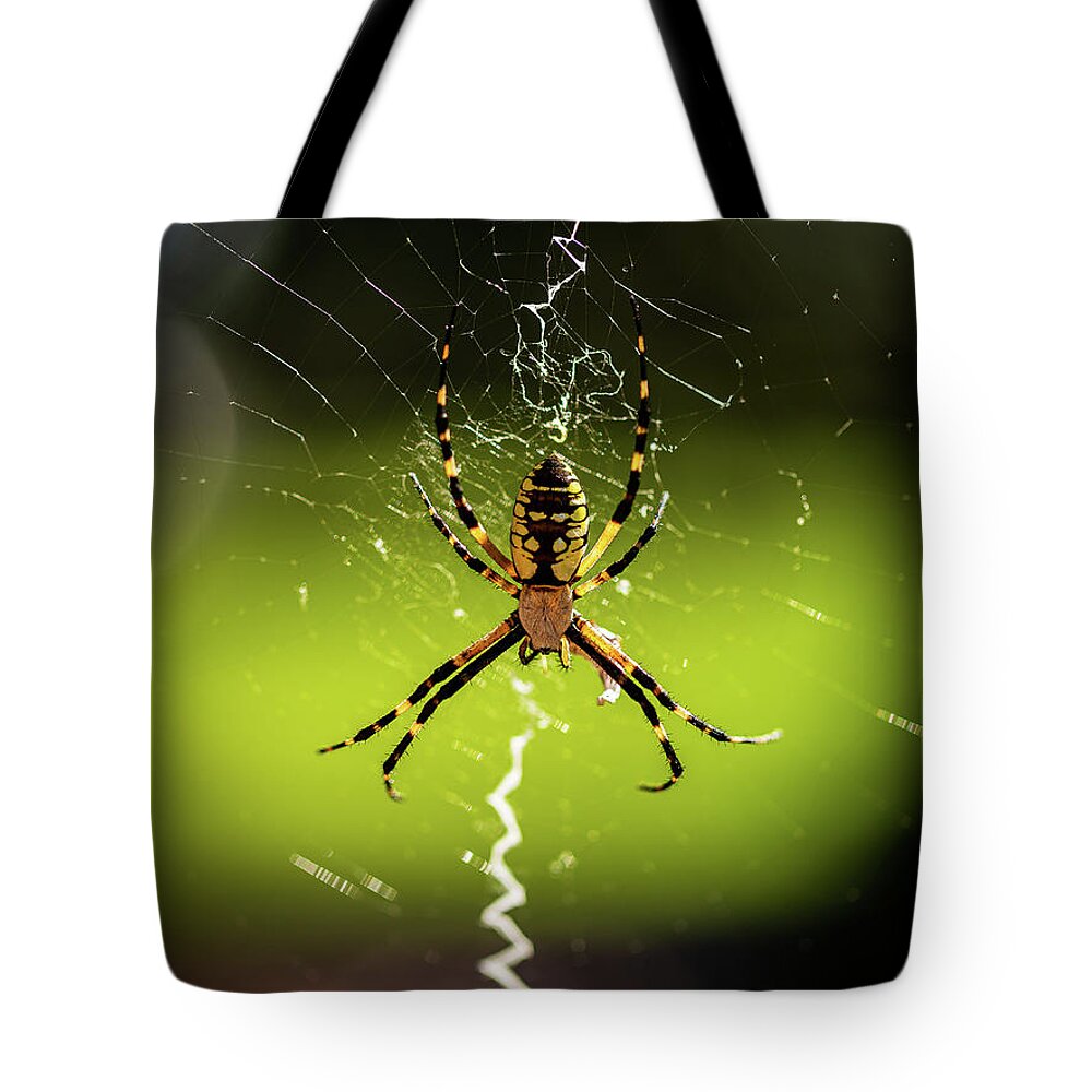 2020 Tote Bag featuring the photograph Black and Yellow Argiope by Charles Hite