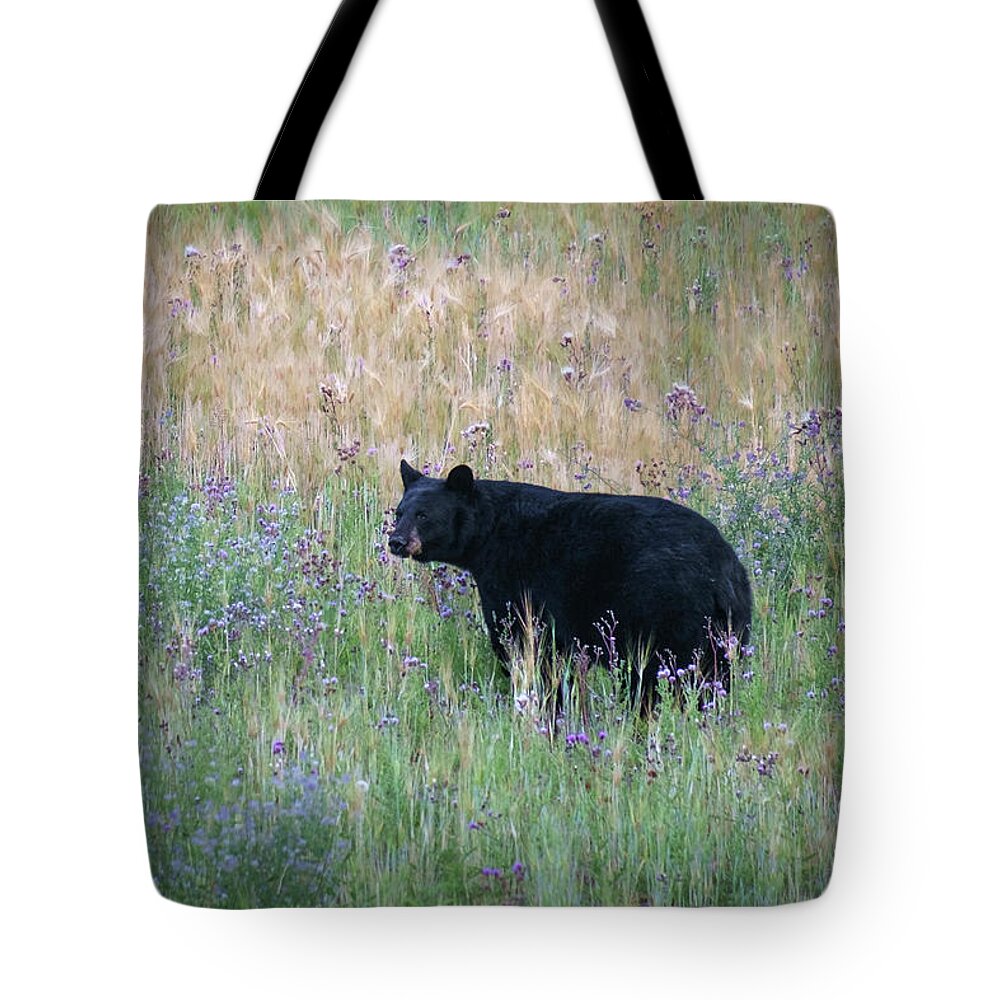 Black Bear Tote Bag featuring the photograph Black Bear in Field of Flowers by Mary Lee Dereske