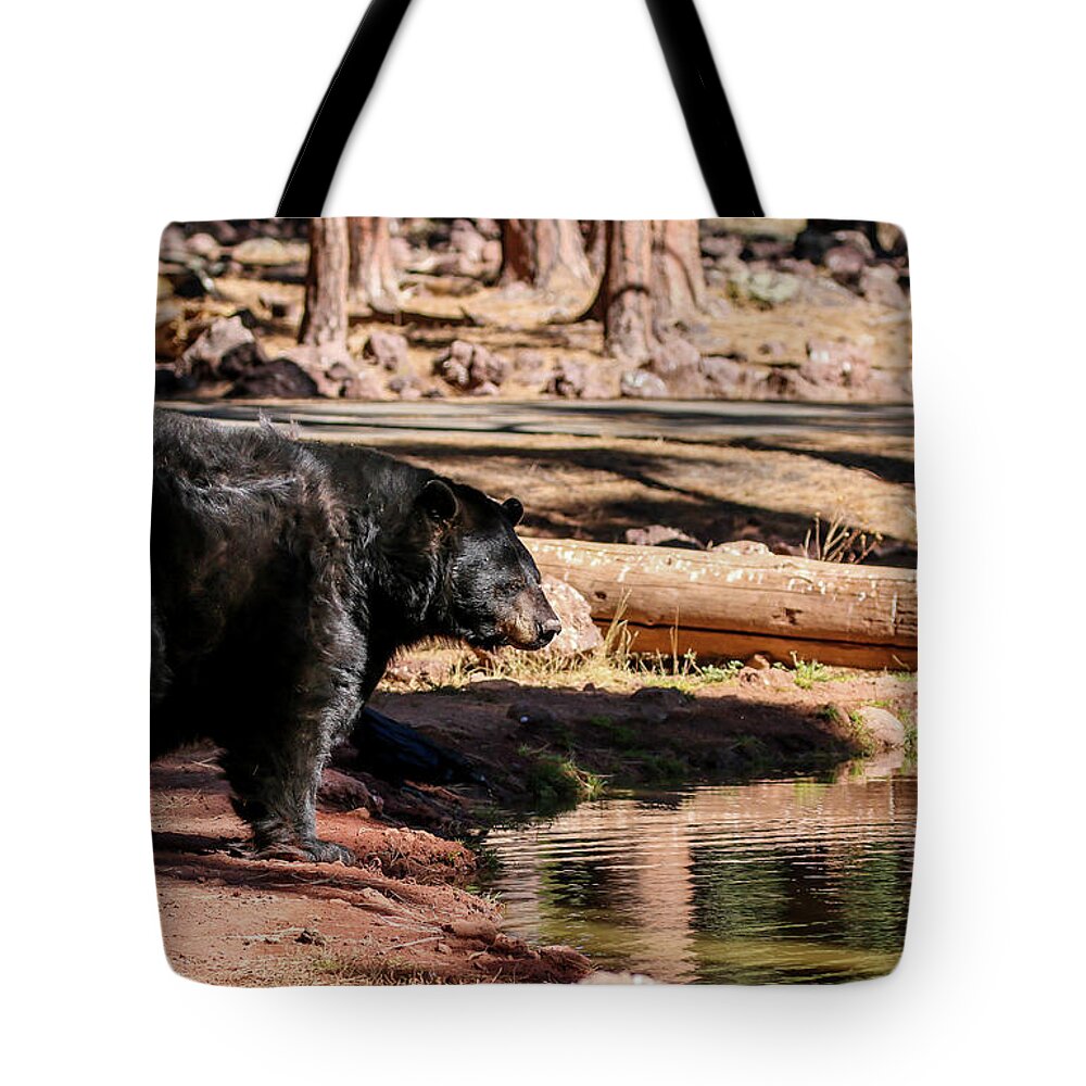 2020 Tote Bag featuring the photograph Black Bear near Lake by Dawn Richards