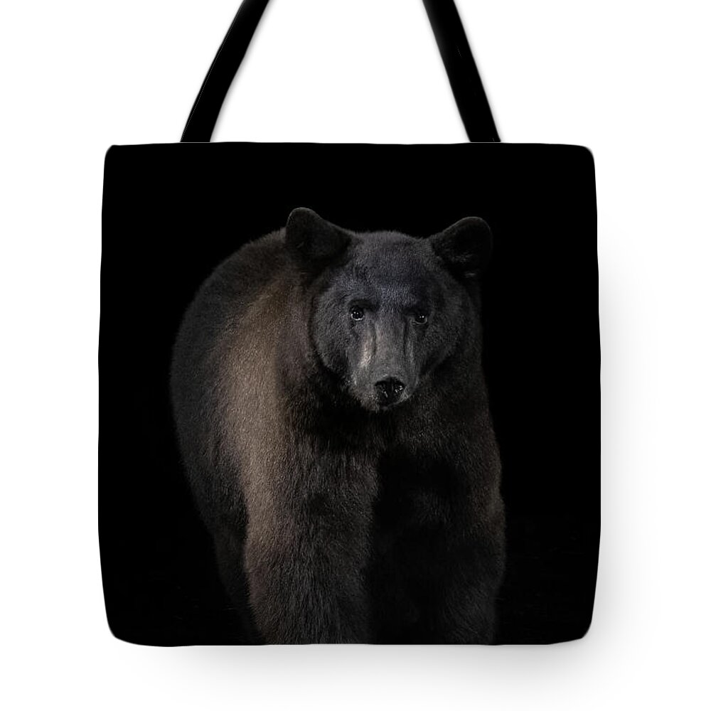 Camera Trap Tote Bag featuring the photograph Black Bear Portrait by Randy Robbins