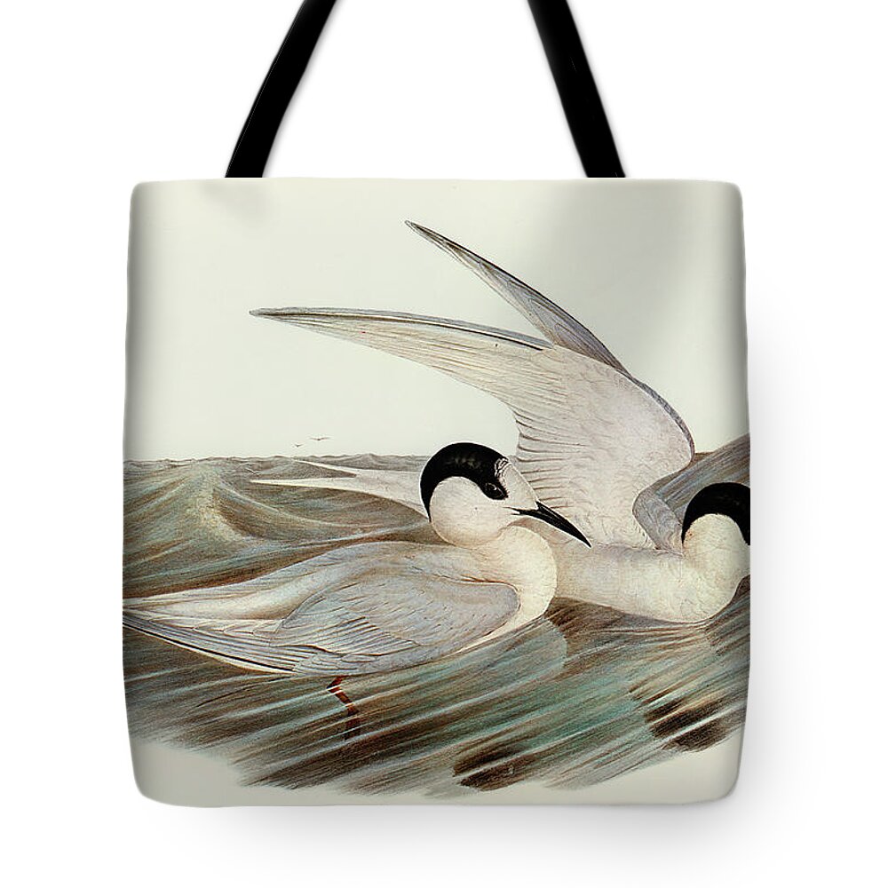 Black Tern Tote Bags