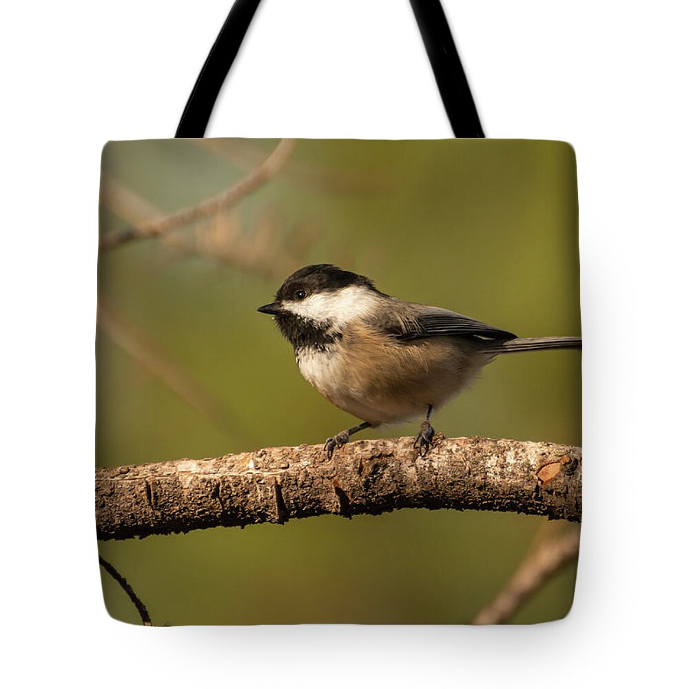 Chickadee Tote Bag featuring the photograph Black-capped Chickadee by Constance Puttkemery