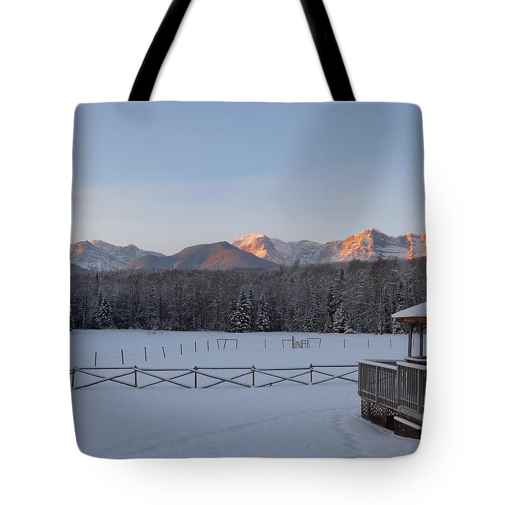 Ranch Tote Bag featuring the photograph Black Cat 1 by Lisa Mutch