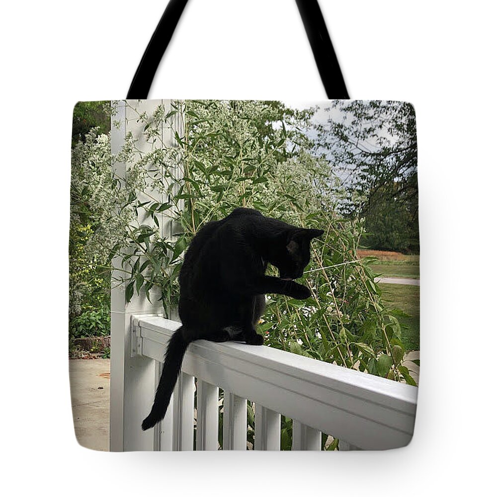 Black Cat Tote Bag featuring the photograph Black Cat Bathing by Valerie Collins