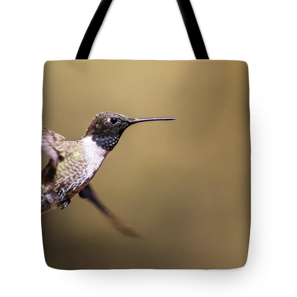 Arizona Tote Bag featuring the photograph Black Chinned Hummingbird in Flight 1 by Dawn Richards