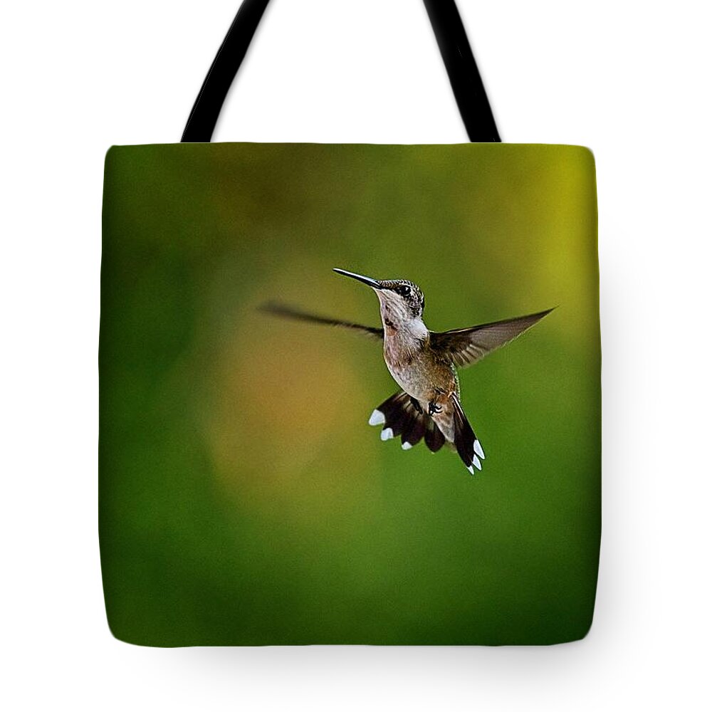 Wildlife Tote Bag featuring the photograph Black-chinned Hummingbird by John Benedict