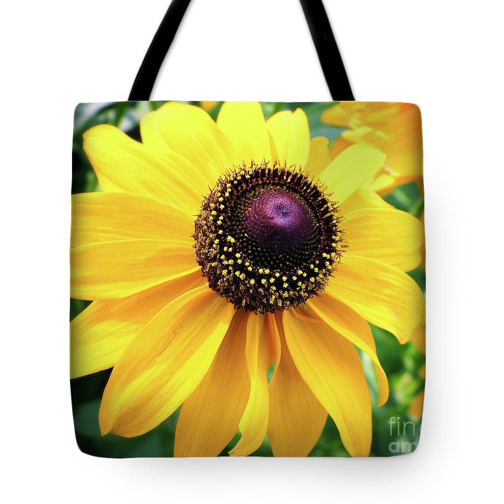 Black Eyed Susan Tote Bag featuring the photograph Black Eyed Susan Art by Scott Cameron