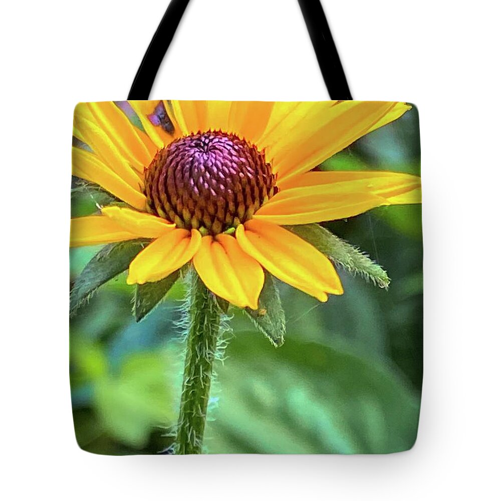Flower Tote Bag featuring the photograph Black Eyed Susan Macro by Jeff Iverson