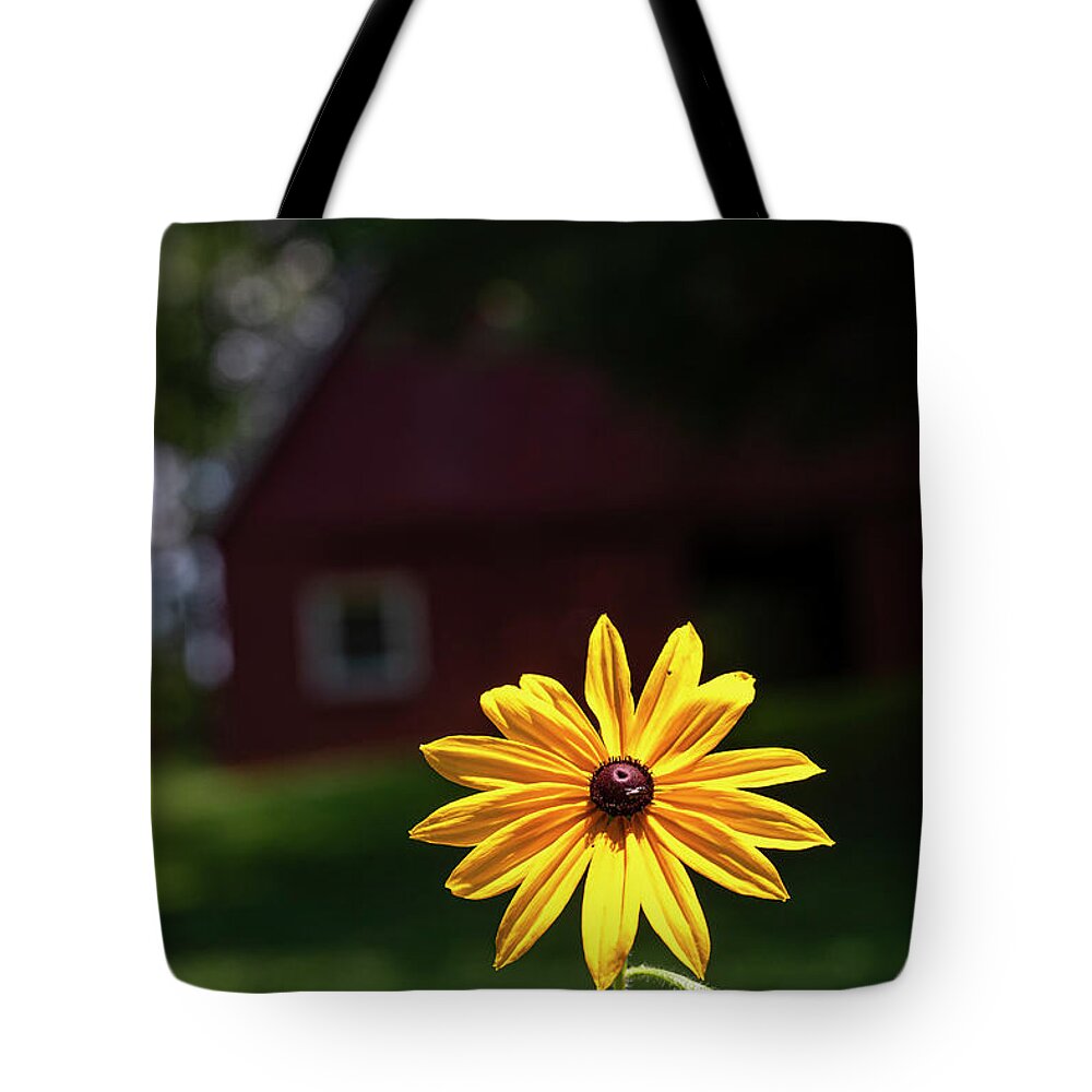 North Carolina (nc) Tote Bag featuring the photograph Black-Eyed Susan Shines Brightly by Charles Floyd