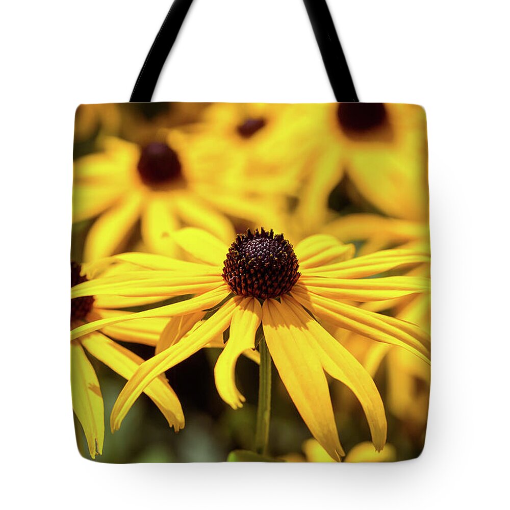 Flower Tote Bag featuring the photograph Black Eyed Susan by Tanya C Smith