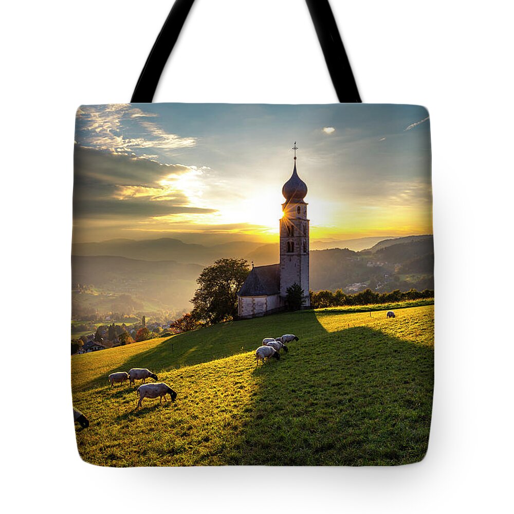 Nature Tote Bag featuring the photograph Black Heads by Evgeni Dinev