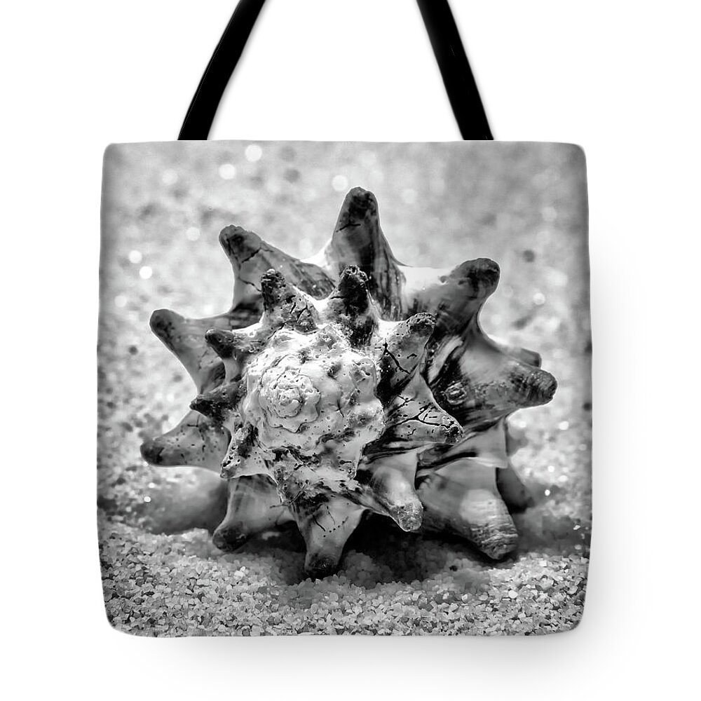 B&w Tote Bag featuring the photograph Black Murex Shell by Anthony Sacco