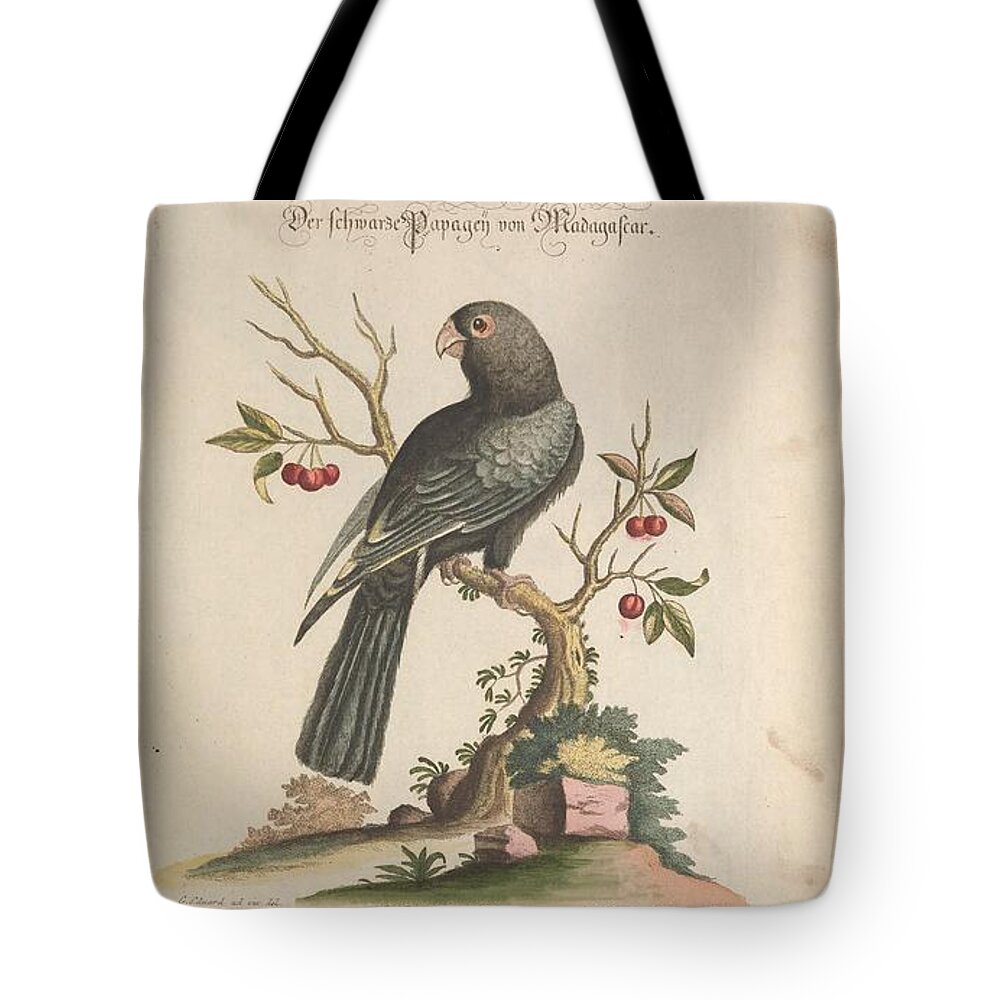 Parrot Tote Bag featuring the mixed media Black Parrot of Madagascar by World Art Collective