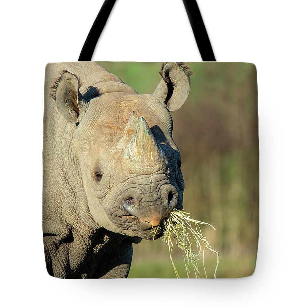 Black Rhino Tote Bag featuring the photograph Black Rhino in the sun by Gareth Parkes