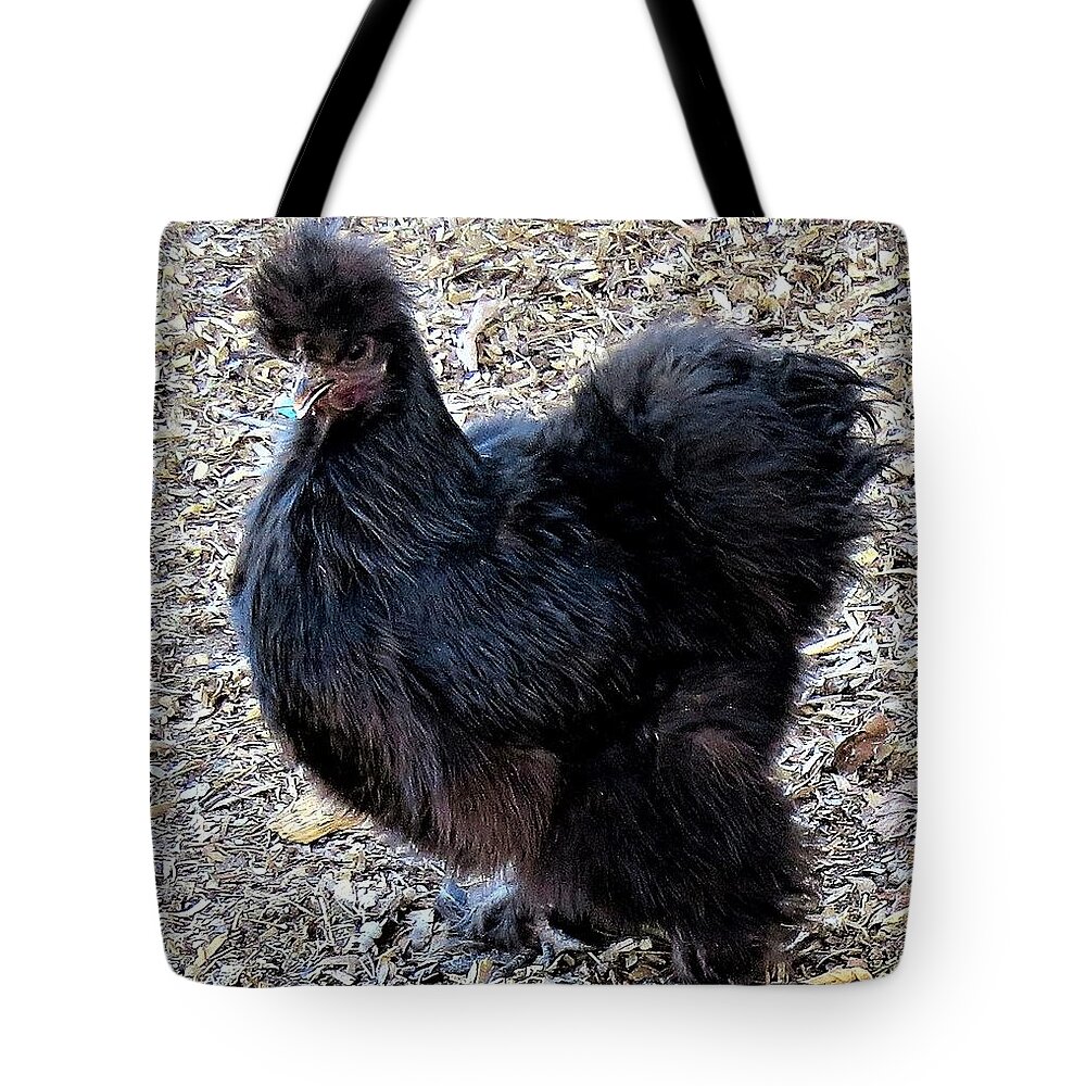Black Chickens Tote Bag featuring the photograph Black Silkie Bantam by Linda Stern