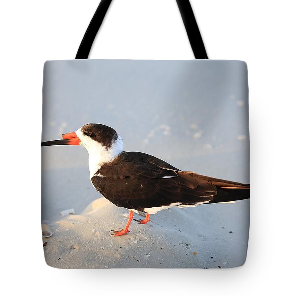 Black Skimmers Tote Bag featuring the photograph Black Skimmer by Mingming Jiang
