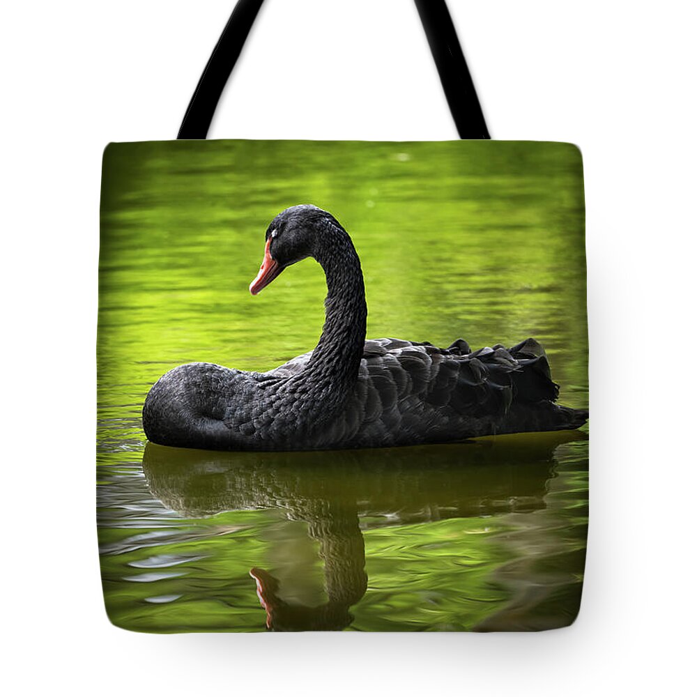 Black Tote Bag featuring the photograph Black Swan With Eyes Closed by Artur Bogacki
