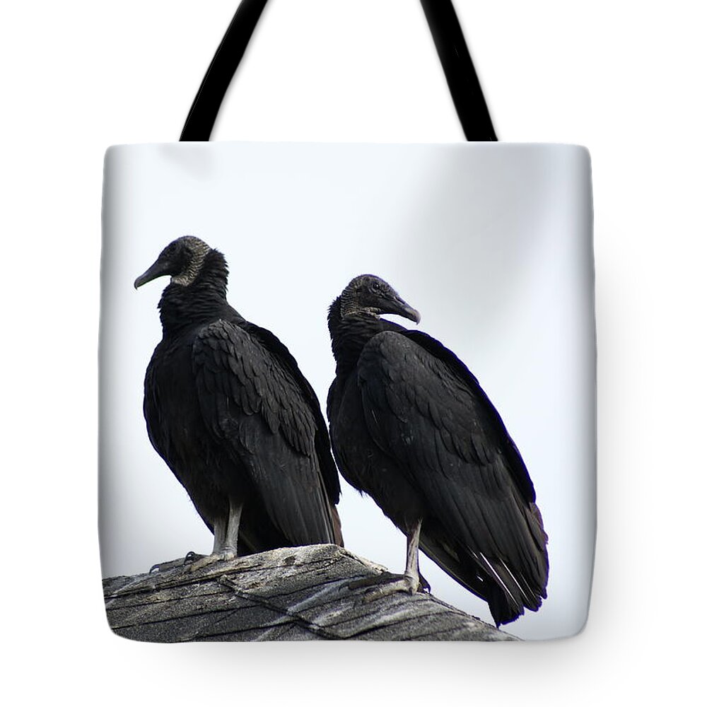  Tote Bag featuring the photograph Black Vultures by Heather E Harman