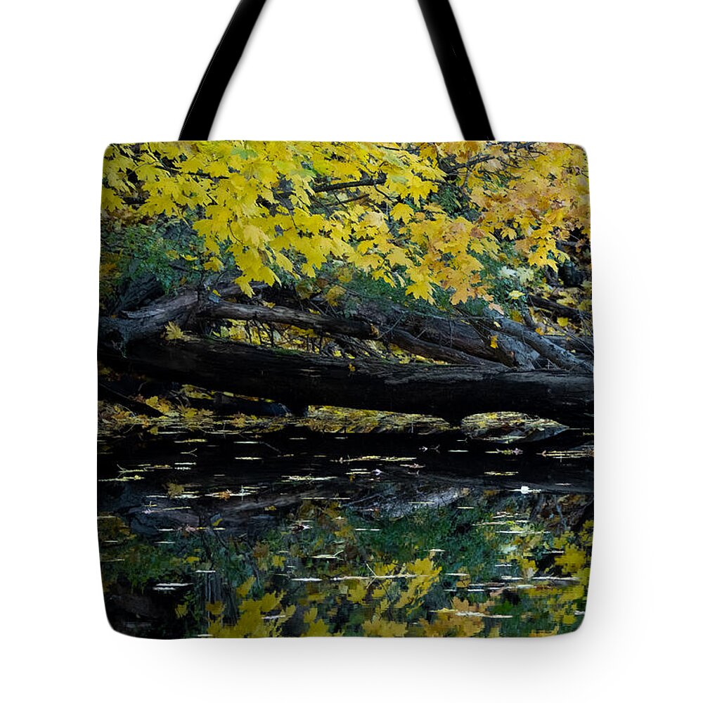 Fall Tote Bag featuring the photograph Blackstone Gold by Linda Bonaccorsi