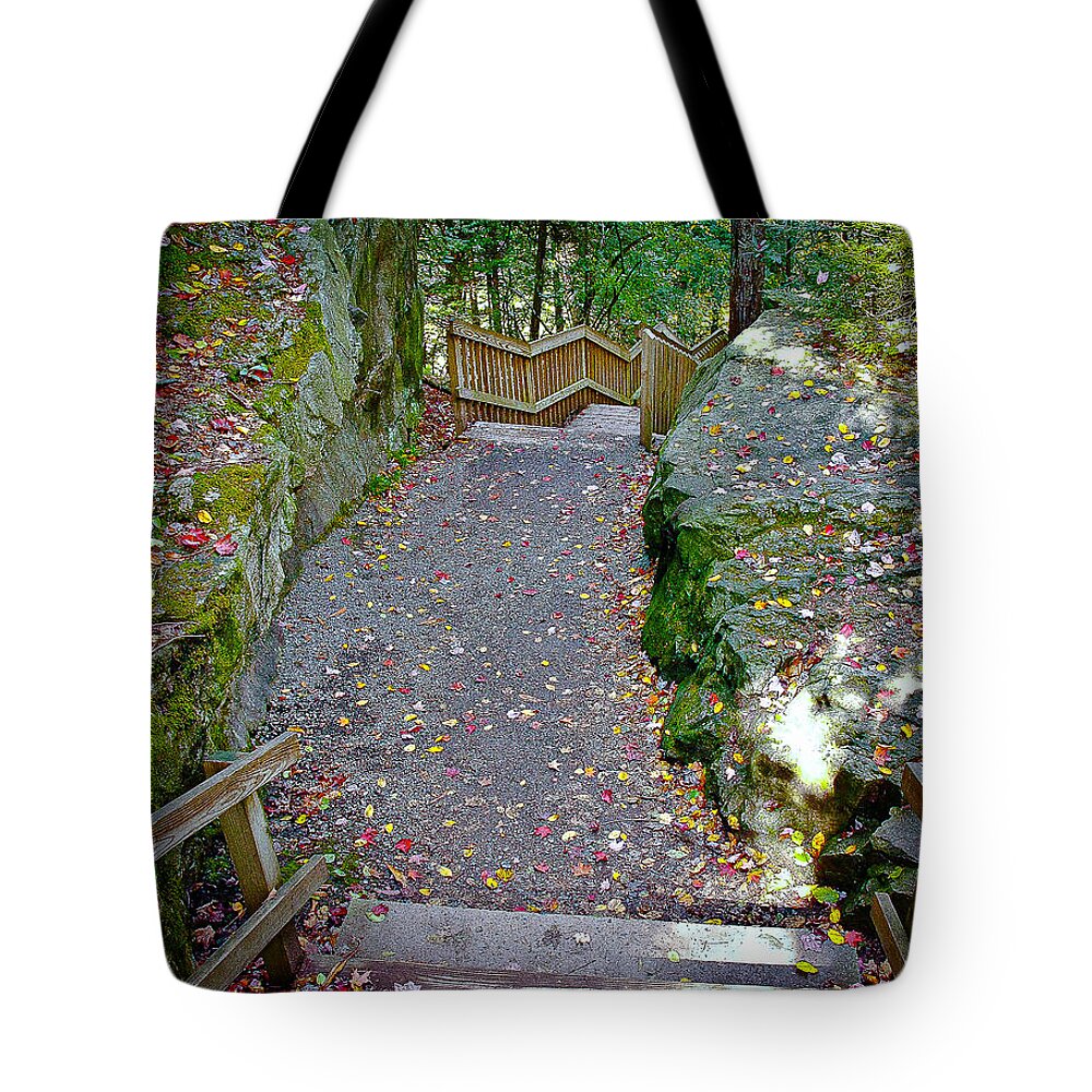 Blackwater Falls State Park Fall Autumn Colorful Leaves Tote Bag featuring the photograph Blackwater Falls State Park by David Morehead