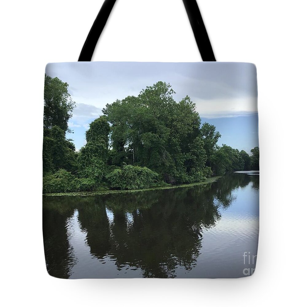 Blackwater Tote Bag featuring the photograph Blackwater River Tree Show by Catherine Wilson