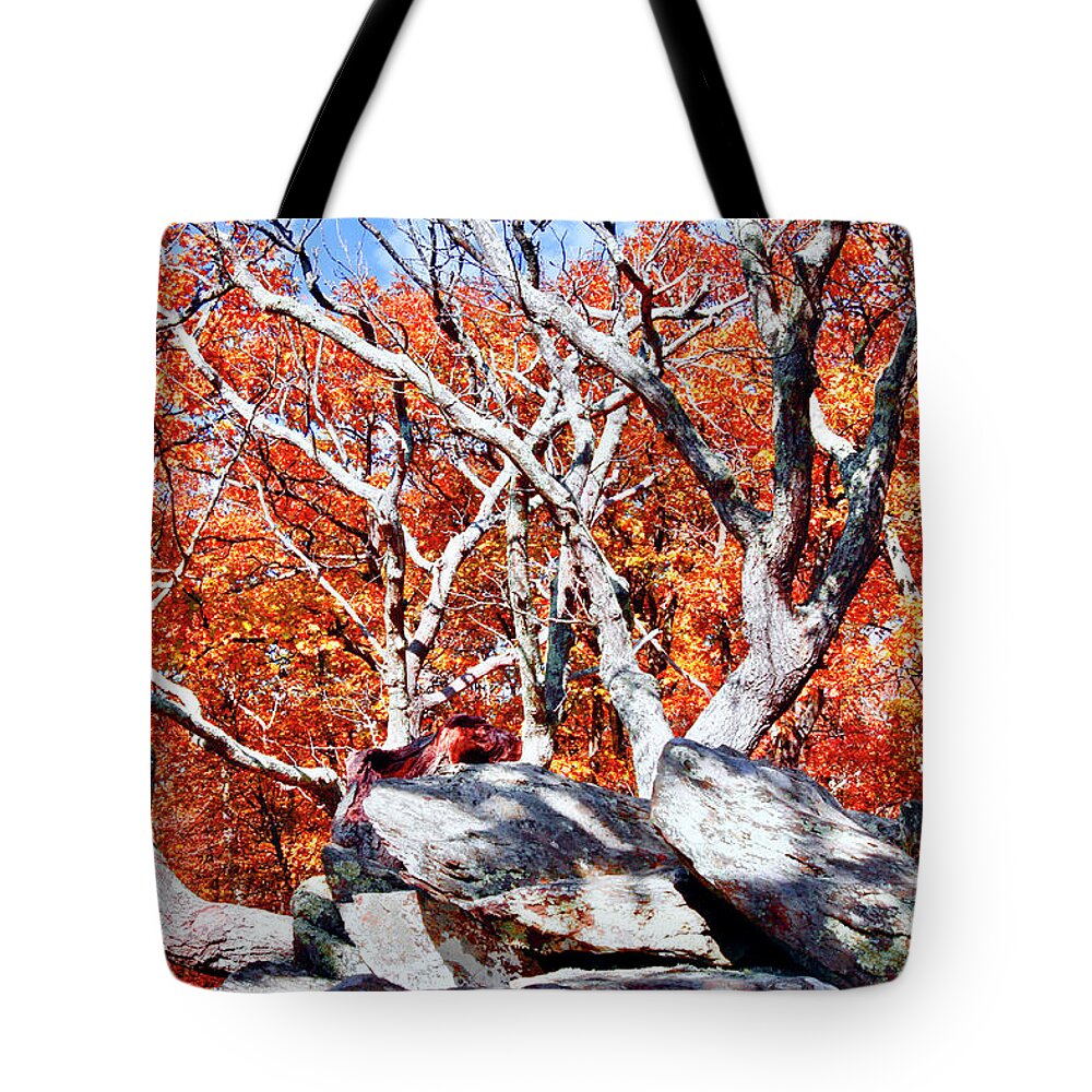 Gray Rocks Tote Bag featuring the photograph Blazing Fall Leaves Skyline Dr by The James Roney Collection
