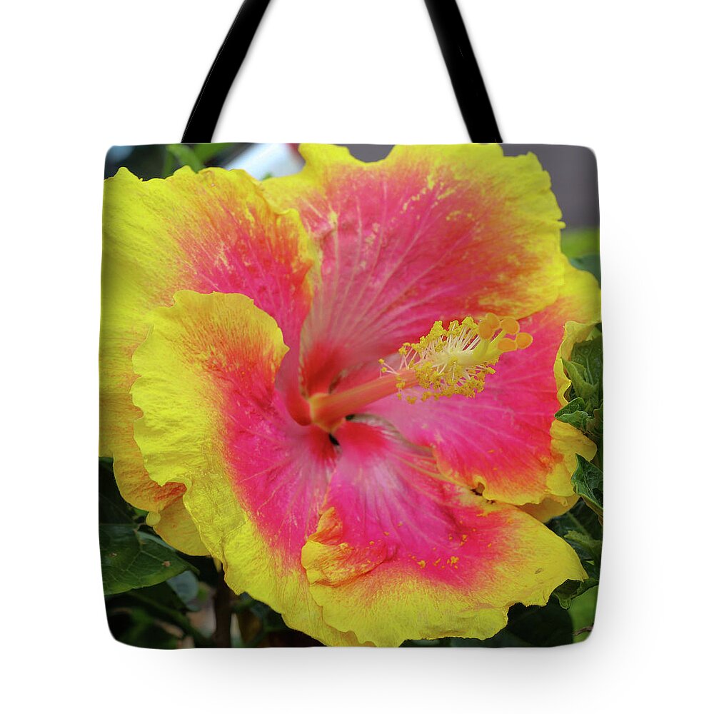 Hibiscus Tote Bag featuring the photograph Bleeding Pink by Tony Spencer