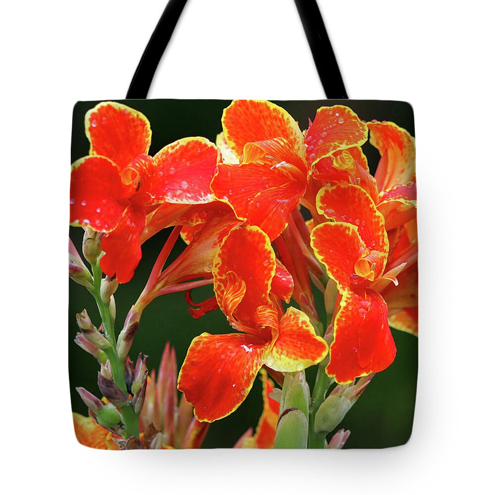 Flower Tote Bag featuring the photograph Blooming Brightly by Mary Anne Delgado