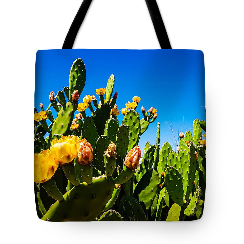 Cactus Tote Bag featuring the photograph Blooming Cactus in Australia by Andre Petrov
