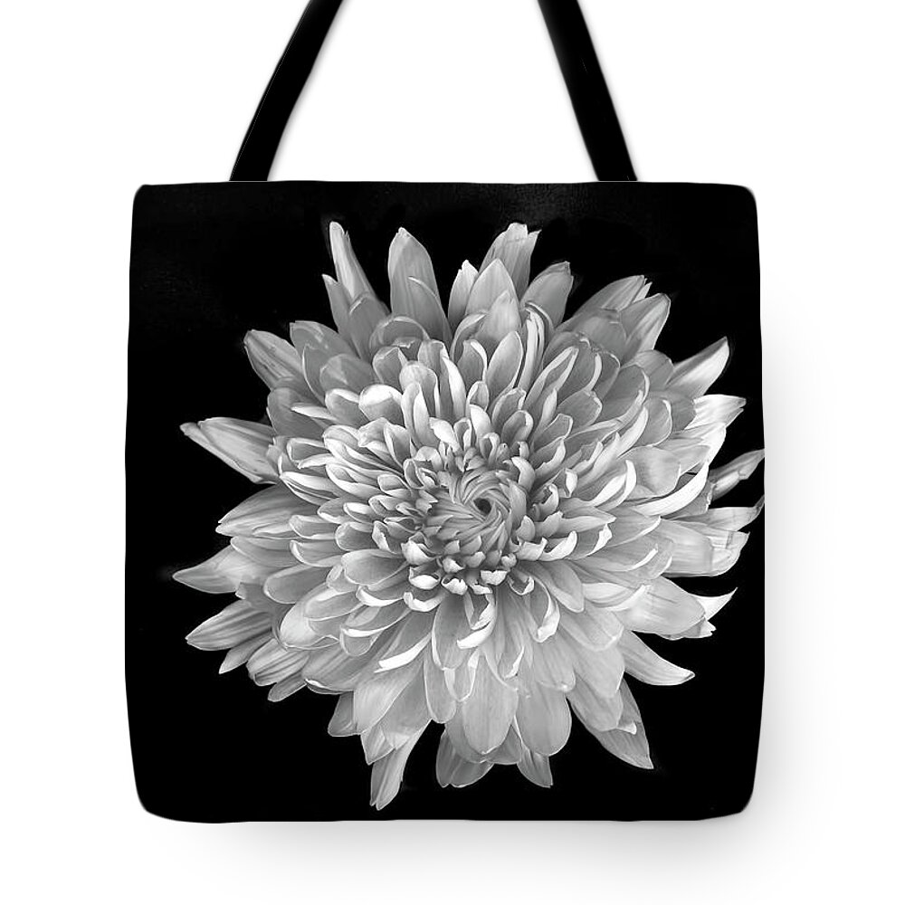 Flower Tote Bag featuring the photograph Blooming Chrysanthemum by Lori Hutchison