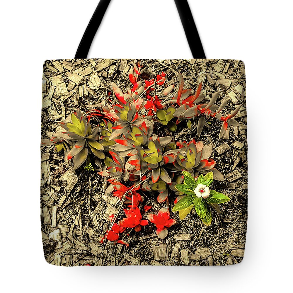 Summer Tote Bag featuring the mixed media Blooms in the Dust by Asok Mukhopadhyay