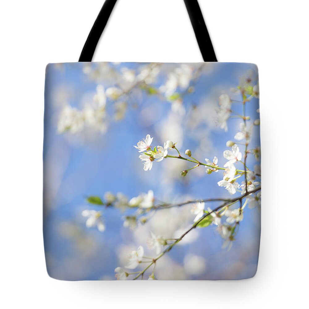 Blossom Tote Bag featuring the photograph Blossom and Blue Skies by Anita Nicholson