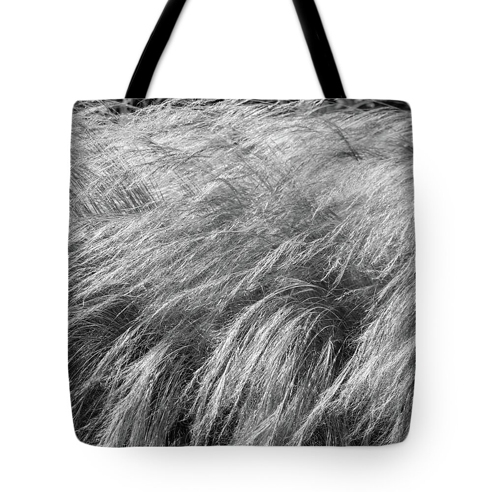 Grass Tote Bag featuring the photograph Blowing in the Wind by Mary Anne Delgado