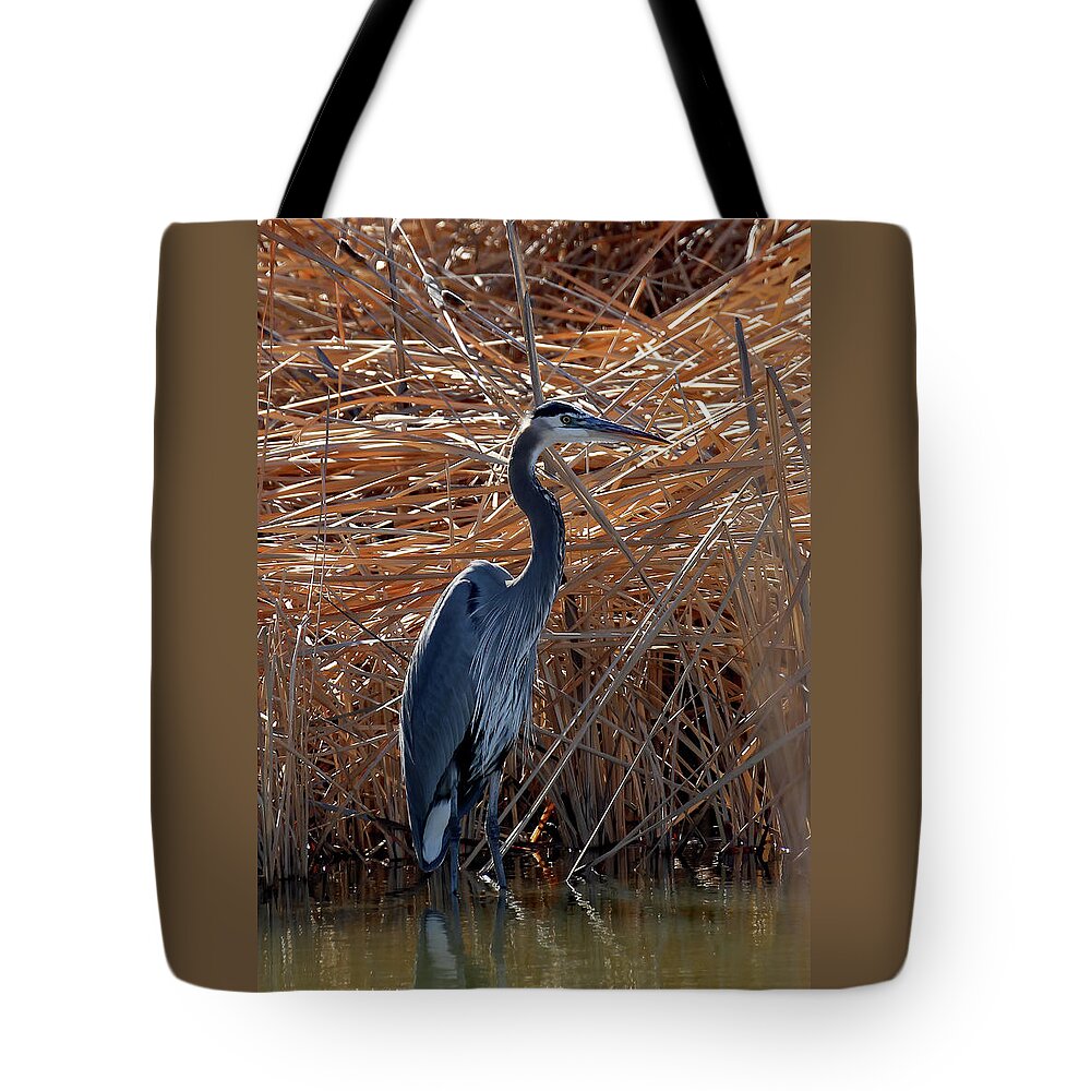 Usa Tote Bag featuring the photograph Blue And Brown At Bosque by Jennifer Robin