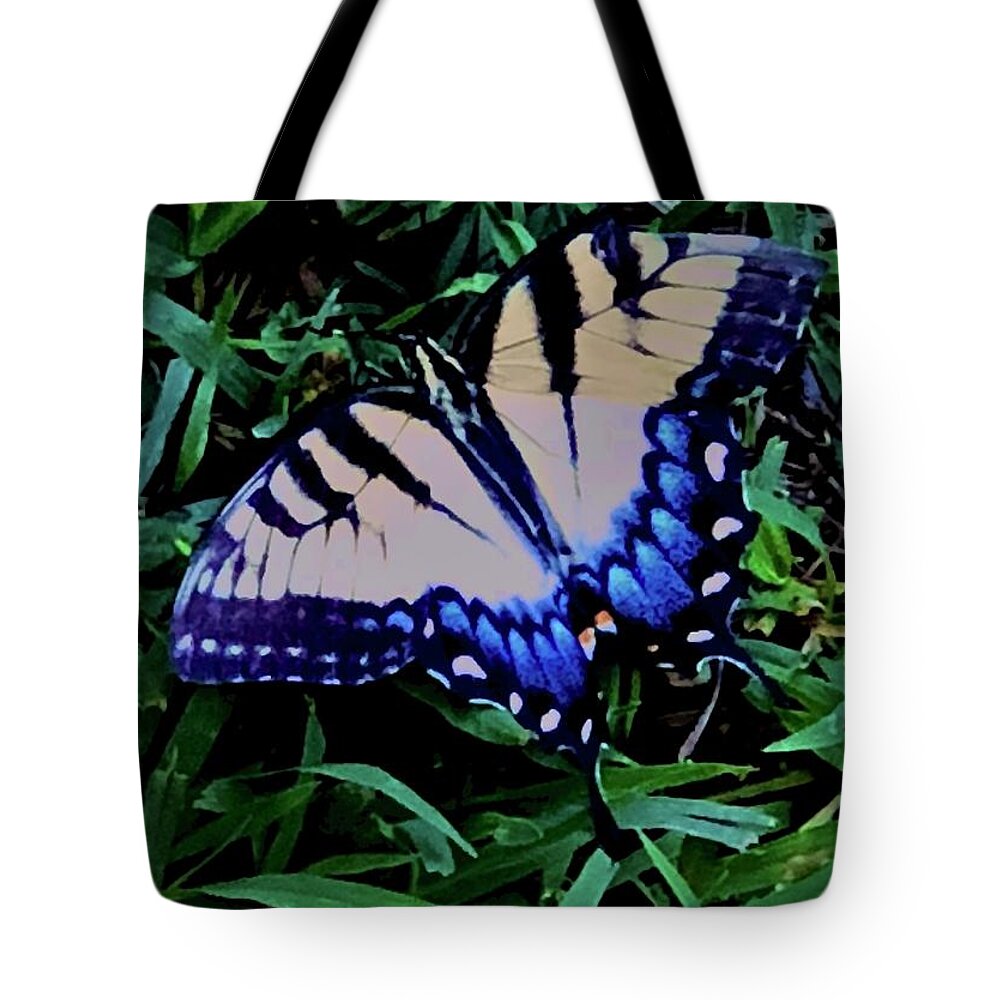 Eastern Tiger Swallowtail Tote Bag featuring the photograph Blue and Pale Yellow Wonder by J Hale Turner