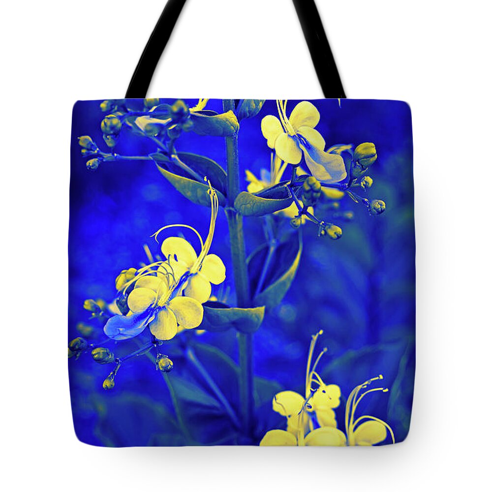 Blue Butterfly Tote Bag featuring the photograph Blue and Yellow Blue Butterfly Bush by Aimee L Maher ALM GALLERY