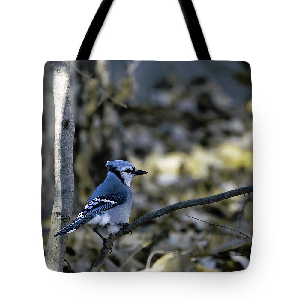 Animal Tote Bag featuring the photograph Blue bird by Paul Ross