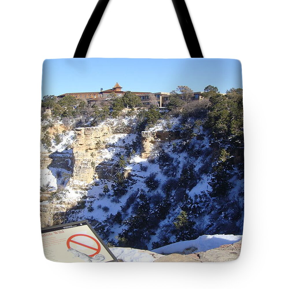  Tote Bag featuring the painting Blue Glaze by Trevor A Smith