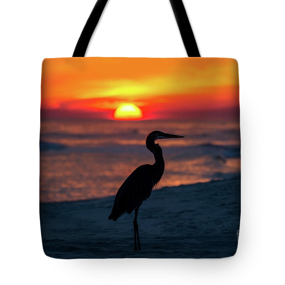 Great Tote Bag featuring the photograph Blue Heron Beach Sunset by Beachtown Views