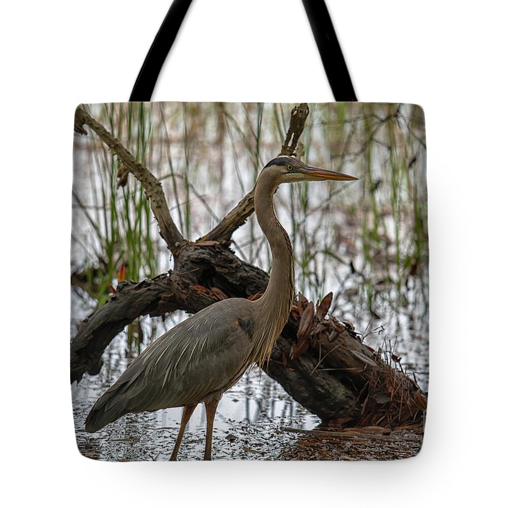 Blue Heron Tote Bag featuring the photograph Blue Heron - High Tide Hunting by Dale Powell