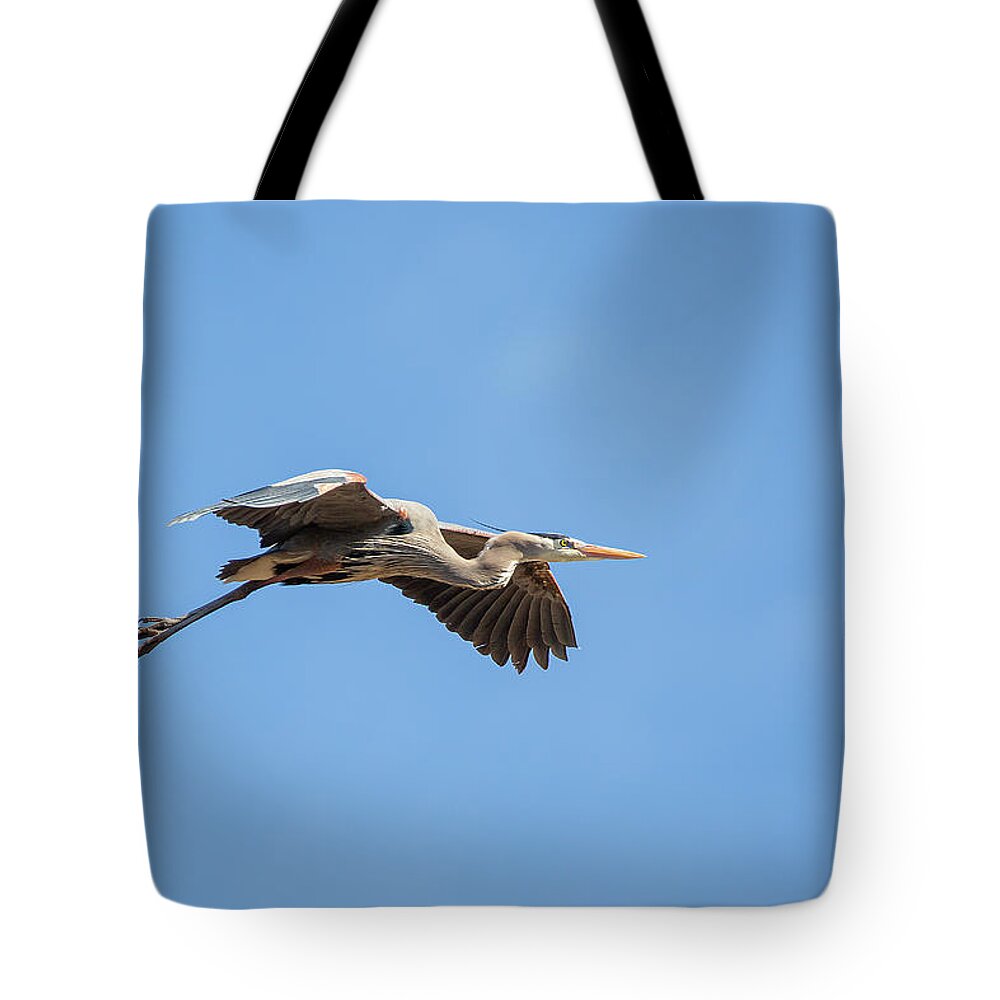 Blue Heron In Flight Tote Bag featuring the photograph Blue Heron In Flight by Dale Kincaid