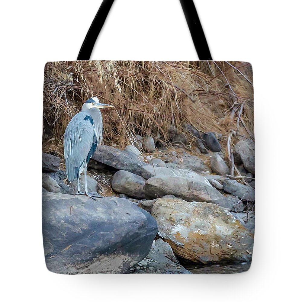 Blue Heron Tote Bag featuring the photograph Great Blue Heron by Jaime Miller