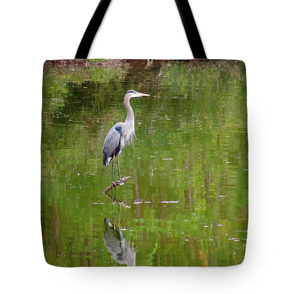 Blue Heron Hilton Head Tote Bag featuring the digital art Blue Heron Mirror Image by Don Wright