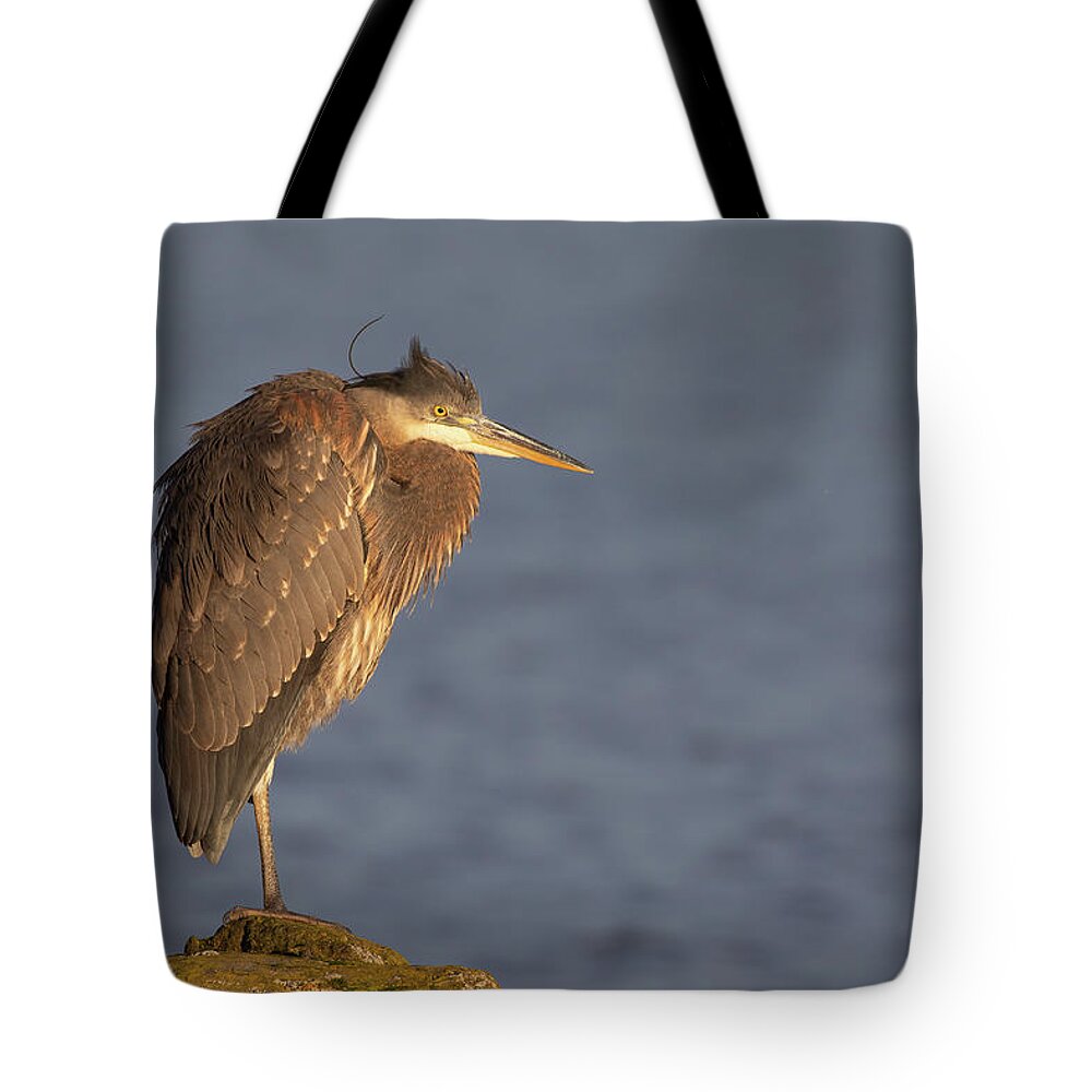 Blue Heron Tote Bag featuring the photograph Blue Heron Sunset Horizontal by Michael Rauwolf