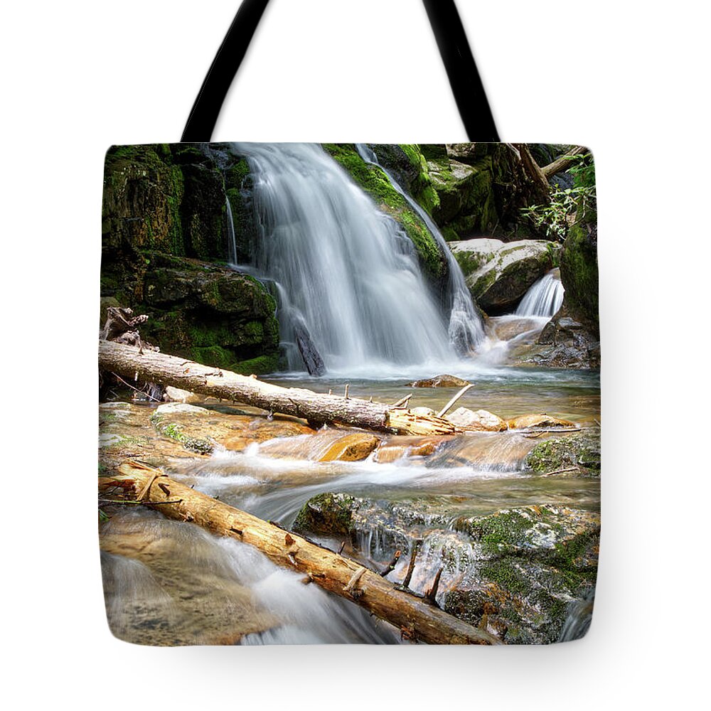 Nature Tote Bag featuring the photograph Blue Hole Falls 10 by Phil Perkins