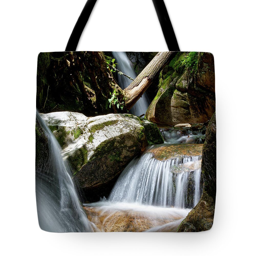 Nature Tote Bag featuring the photograph Blue Hole Falls 11 by Phil Perkins