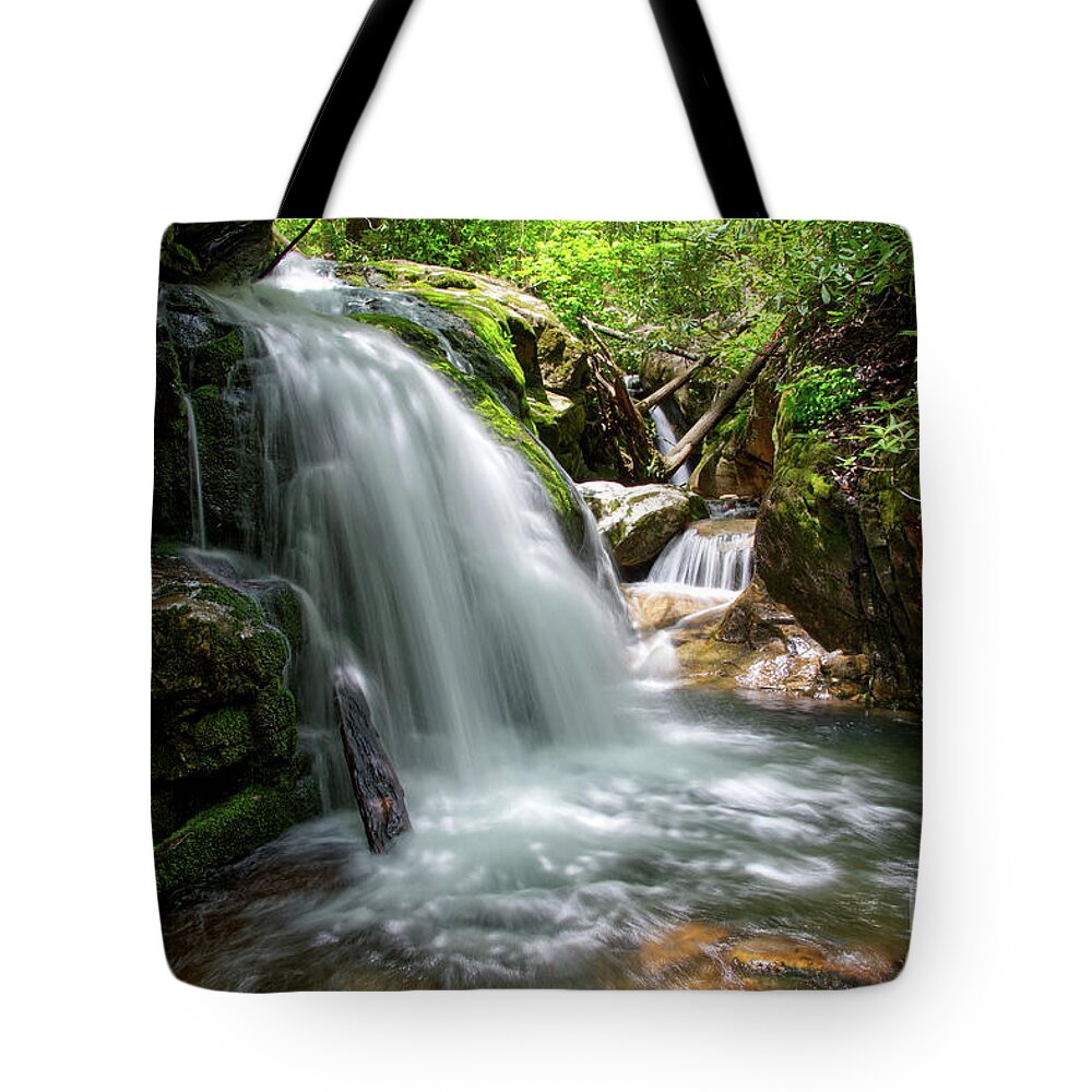 Nature Tote Bag featuring the photograph Blue Hole Falls 4 by Phil Perkins