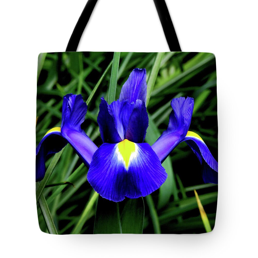 Flowers Tote Bag featuring the photograph Blue Iris by Linda Stern