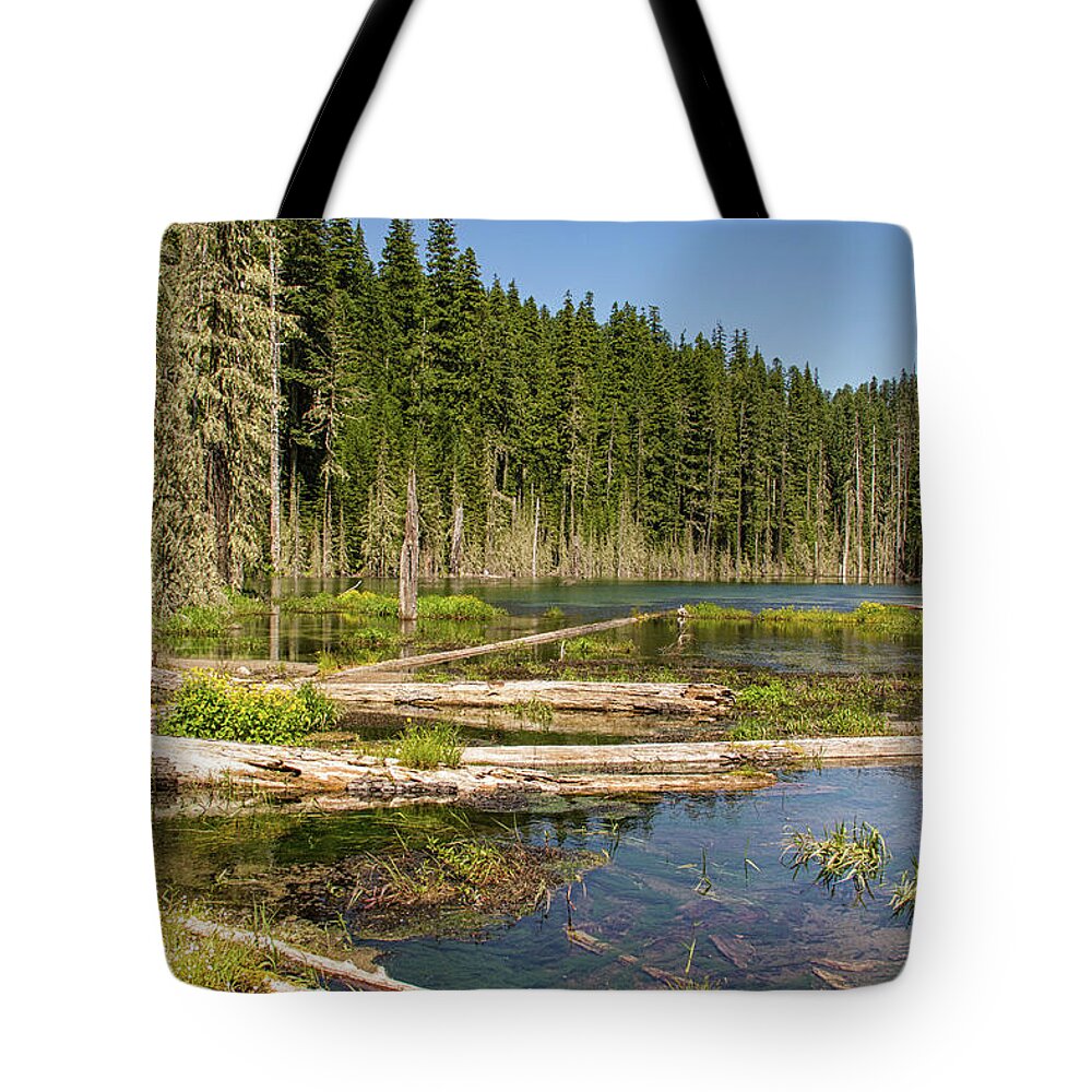 Sheep Canyon Hike Tote Bag featuring the photograph Blue Lake by Kunal Mehra