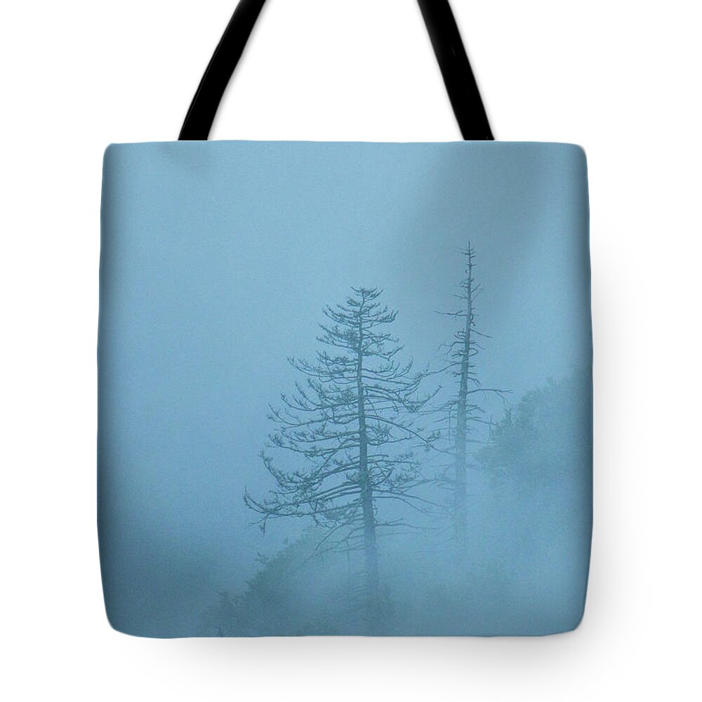 Nunweiler Tote Bag featuring the photograph Blue Mist by Nunweiler Photography